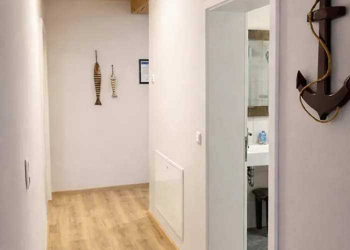 Ankerix & Deichfix * ビューズム